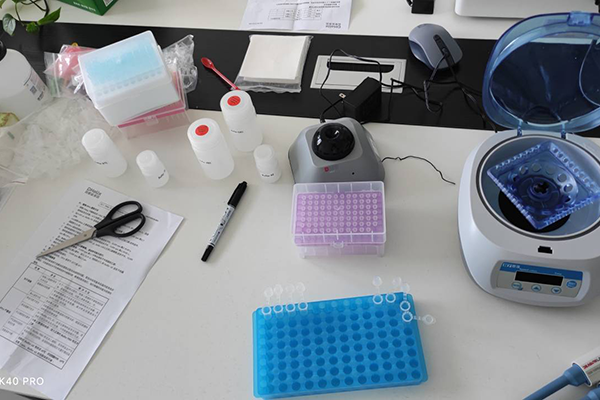 松材線蟲檢測(cè)儀培訓(xùn)現(xiàn)場(chǎng)