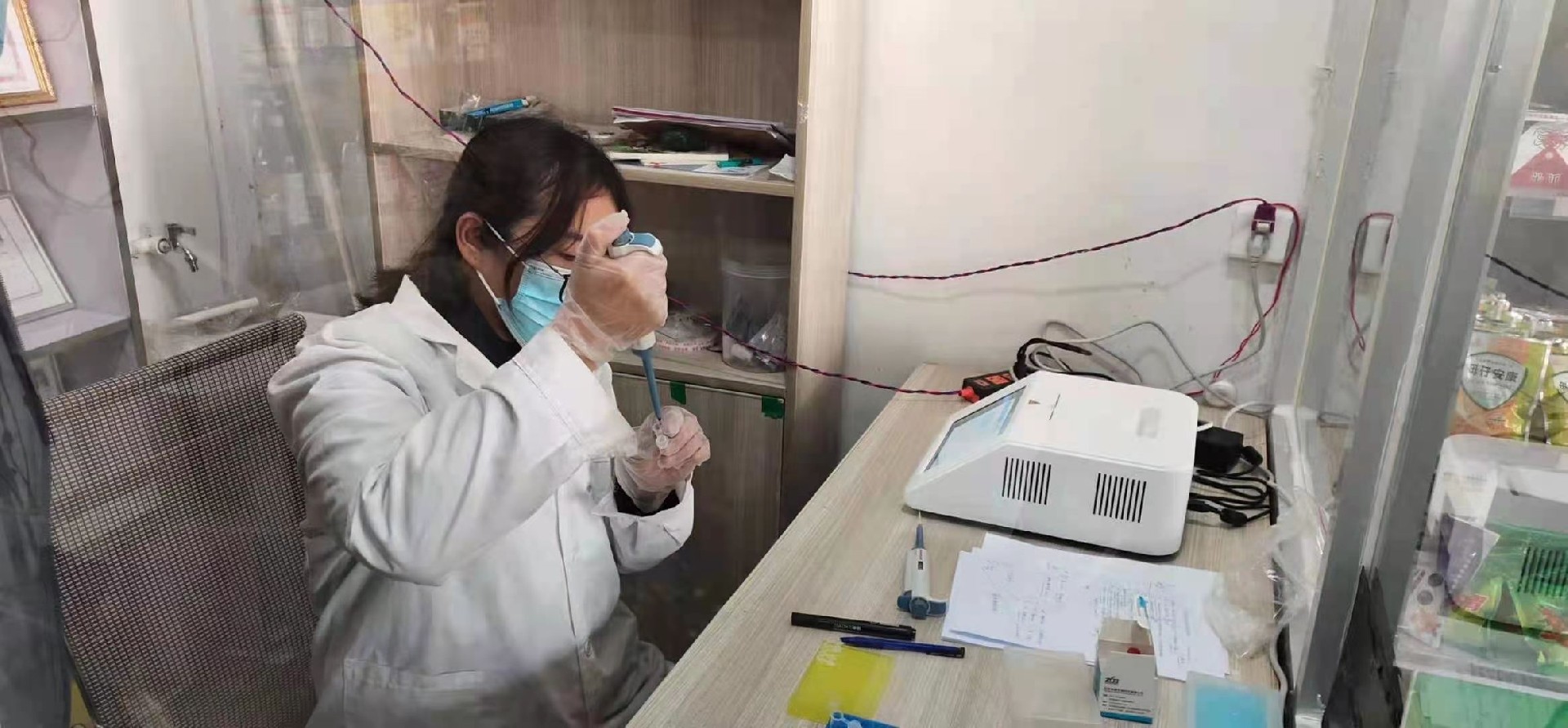 非洲豬瘟 PCR 檢測儀檢測工作畫面